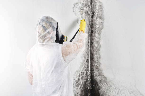 Water damage restoration experts in Fulton, MO