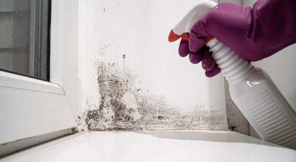 24/7 water damage repair in Fulton, MO